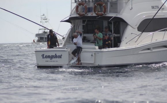 Tuna Fishing Boats For Sale