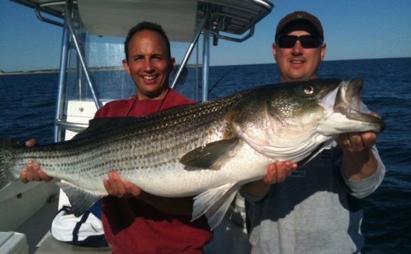 Cape Cod Fishing Great Year