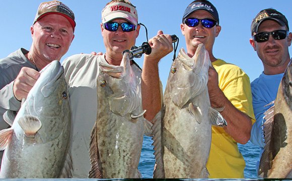 Florida Tarpon Fishing