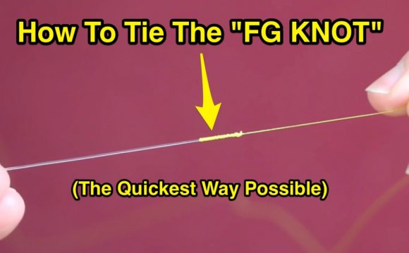 Why the FG Knot shocked the