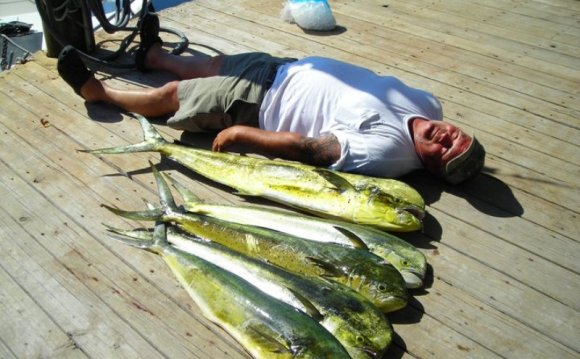 JOHNNY MADDOX FISHING CHARTERS