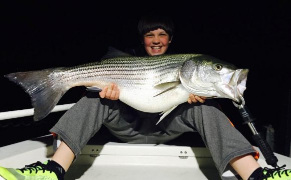 Big striper from Lewis Smith