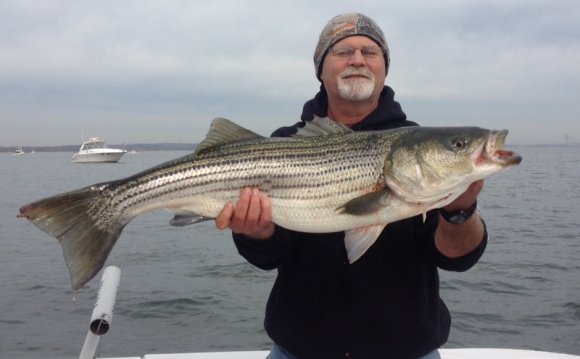 Striped Bass Fishing