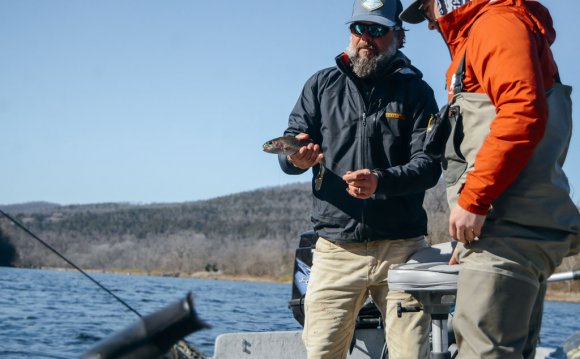 The Shad Kill at the junction