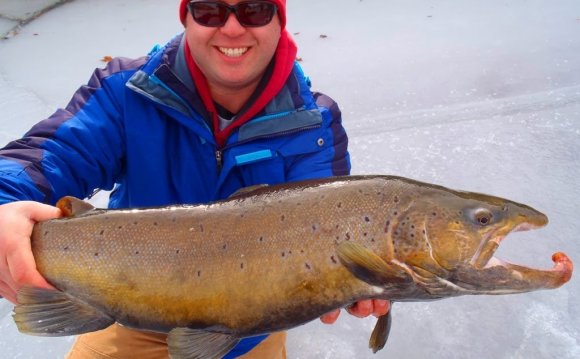 Ice Fishing Monster Brown