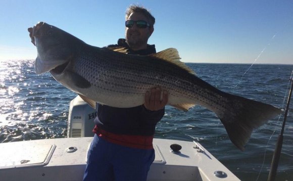 IFishMD.com Chesapeake Bay