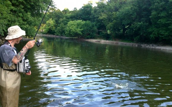 Fox river illinois smallmouth