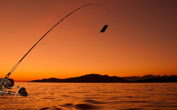 Lake Erie Hot Fishing Reports