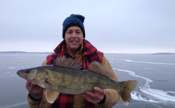 Walleye with a fat head minnow