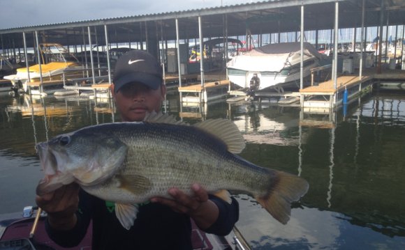 Largemouth Bass with a Bandit