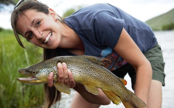 Madison River Fishing Report