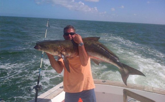 Cobia Cobia Cobia!