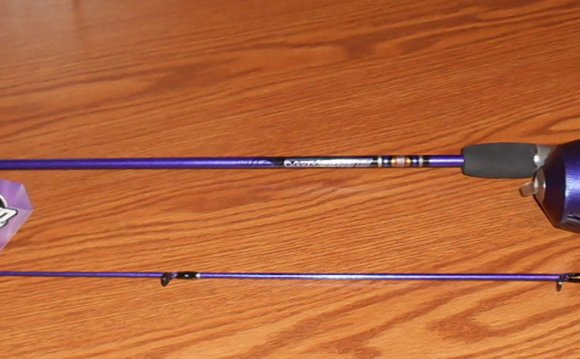 PURPLE FISHING POLE ROD REEL