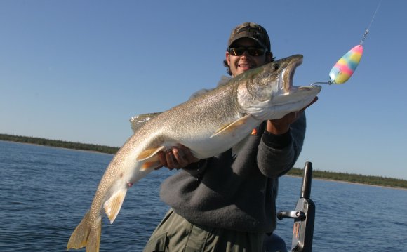 Hook Tips For Lake Trout Trips