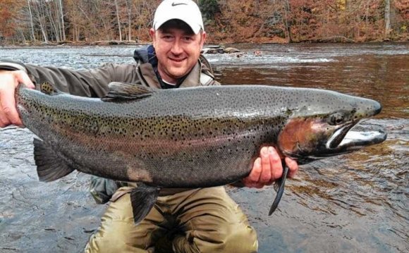 Salmon/steelhead fishing still