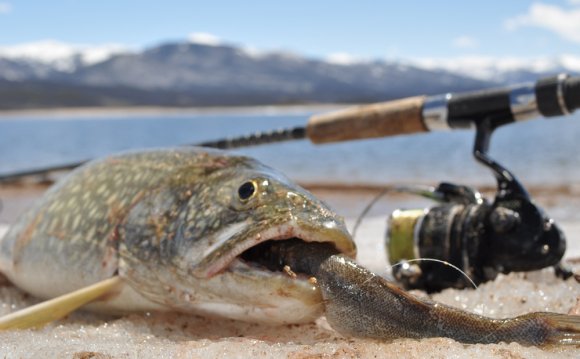 Springtime Fun: Bait Fishing