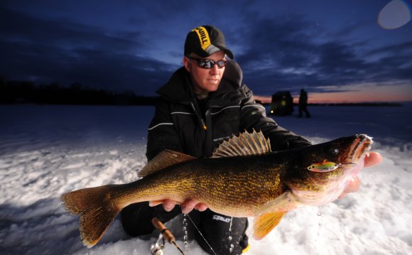 Wacky Walleye