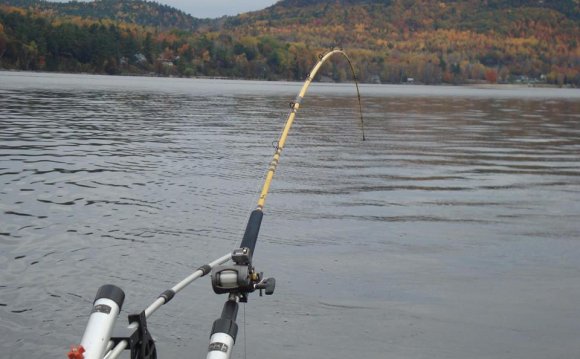 West Shore Charters - Fishing