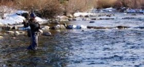 A guided fly-fishing trip behind Cutthroat Anglers. The Blue River as it works through Silverthorne