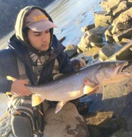 Angler keeping lake trout caught from shore in reduced Niagara River.