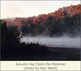 Autumn fog frosts the Potomac at Fletcher's Cove