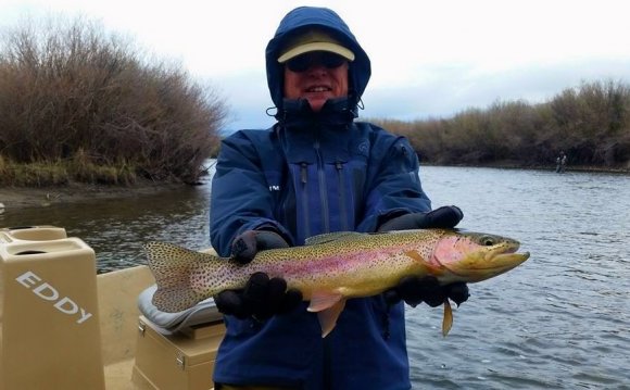Beaverhead River Fishing Report