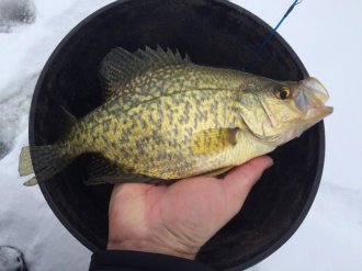 Brainerd Minnesota Fishing Report