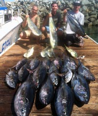 clowers-saltwater-avy