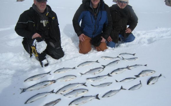 Fishing Report Colorado
