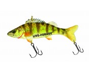 fish fry minnow pitfall