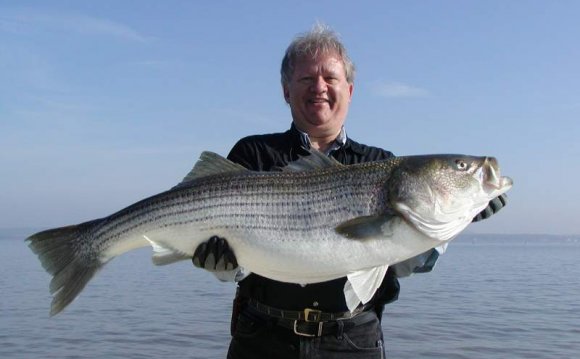 Potomac River Fishing Reports