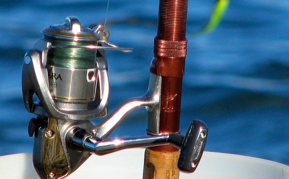 Best Fishing Line for spinning reels