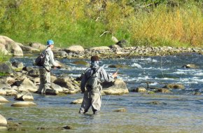 Fly-fishing regarding Animas River in Durango