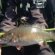 Aurora Reservoir Fishing Report