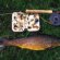 Brown Trout fishing