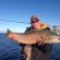 Pyramid Lake Fly Fishing