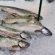 Trout fishing lures