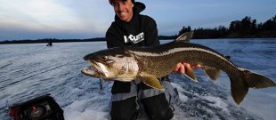 Ice fishing electronics assist anglers get a hold of huge seafood such as this Lake trout. Photo by Chip Leer.