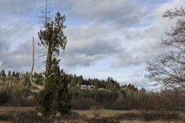 In 2002, extra land ended up being included, taking the total location to 430 miles.