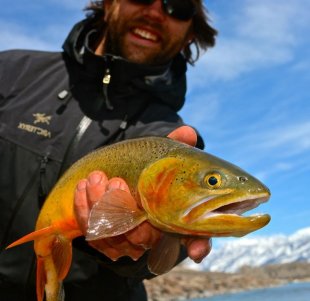 Jackson Hole Fishing Report Jackson Hole Fishing Report