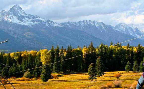 Jackson Hole Fly Fishing