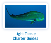 Light Tackle Charter Guides