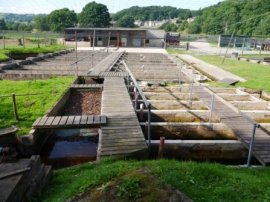 Low Laithe trout farm