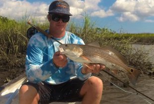 minimal Tide Redfish