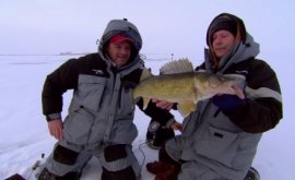 Lure techniques for Ice Walleyes