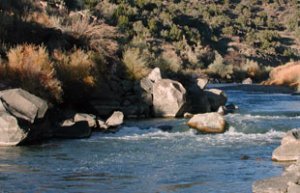 Northern New Mexico fly-fishing