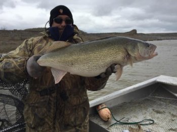 Photo: Jeff Brost with among the first green feminine walleye associated with the period.
