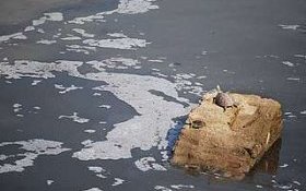 Pollution into the Ganges River, Asia