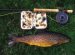 Brown Trout fishing