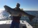 Chesapeake Bay SportFishing Charters